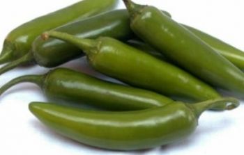 FAMILY FOOD  Острый перец Халапенью 