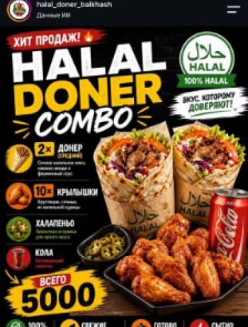 HALAL DONER  Halal Doner Combo №1  